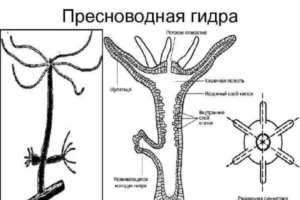 Взломали blacksprut