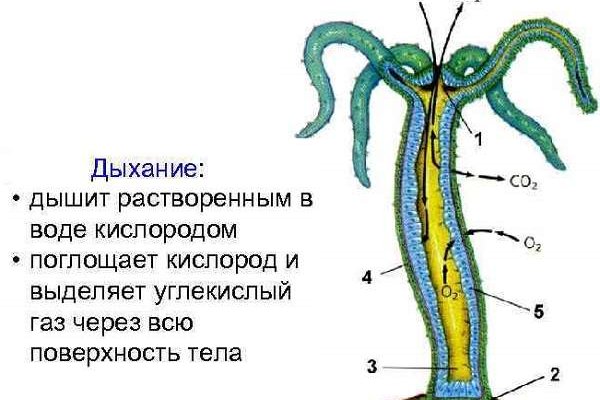 Сайт blacksprut bs2onion org