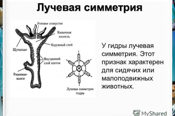 Официальная ссылка на blacksprut blacksprute com