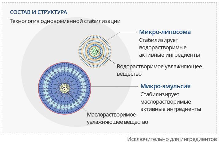 Тор blacksprut blacksprut cam